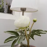 Du Soleil 아파트