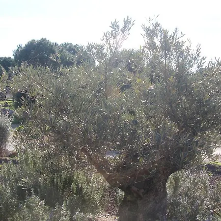 Le Mas Du Soleil Sainte-Maxime