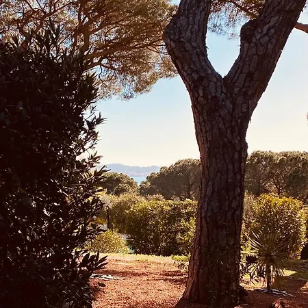 Le Mas Du Soleil Apartment Sainte-Maxime