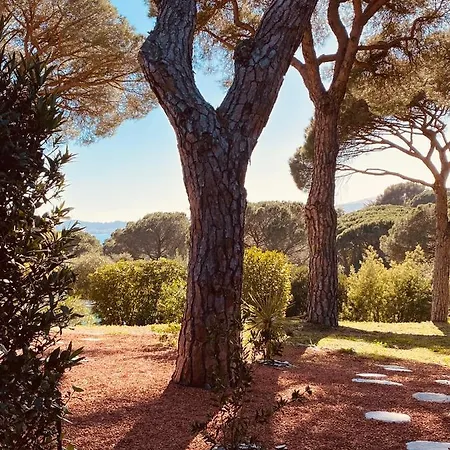 Le Mas Du Soleil * Sainte-Maxime