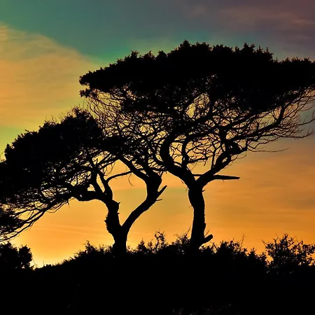 Le Mas Du Soleil Sainte-Maxime