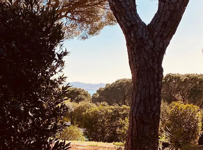 Du Soleil Appartement Sainte-Maxime