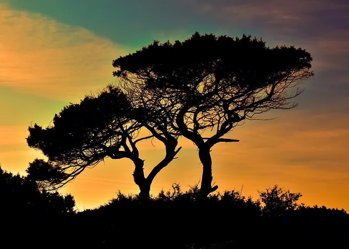 Du Soleil Sainte-Maxime