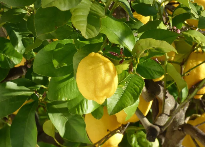 Appartement Du Soleil