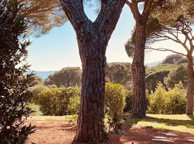 Le Mas Du Soleil * Sainte-Maxime