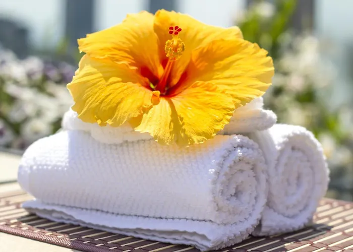 Апартаменты Du Soleil Сент-Максим