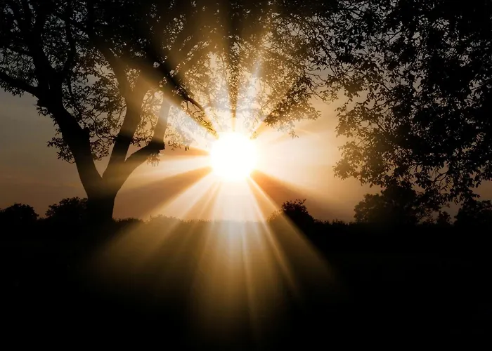 شقة Du Soleil سانت ماكسيم